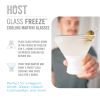 Glass FREEZE Martini Glass by HOST  (set of two)