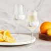 Wine FREEZE Stemmed in Marble (set of 2)  by HOST